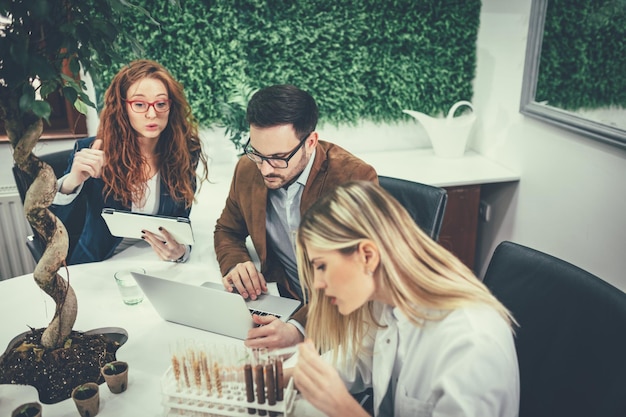 Ein Team von intelligenten, qualifizierten Fachingenieuren, die über das Projekt der alternativen Energie diskutieren und die Analyse der Pflanzenprobe überprüfen.