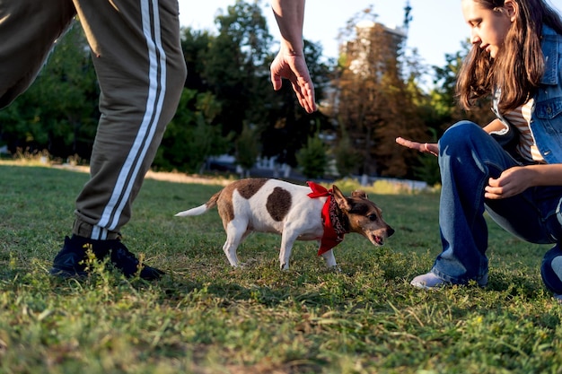 Foto ein teenager-mädchen trainiert einen niedlichen haustierhund jack russell auf dem gras in einem hundepark am herbstabend