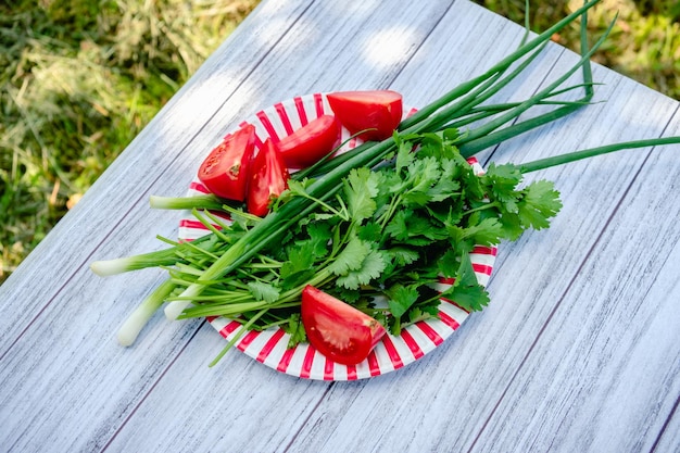 Ein Teller mit Gemüse und Kräutern auf einem Tisch in einem Garten in der Natur