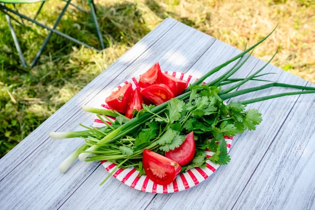 Ein Teller mit Gemüse und Kräutern auf einem Tisch in einem Garten in der Natur