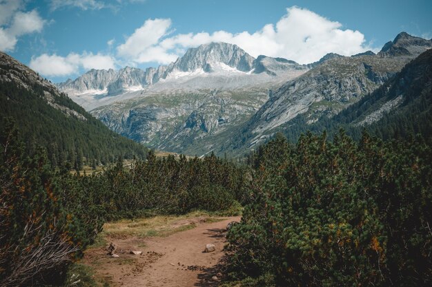 Ein toller Blick auf den See MALGA BISSINA und auf das Val di Fumo