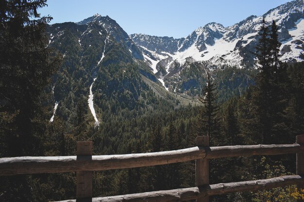 Ein toller Blick auf einen italienischen Wald