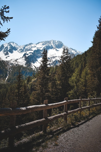 Ein toller Blick auf einen italienischen Wald