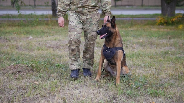 Ein Trainer und sein ausgebildeter Deutscher Schäferhund