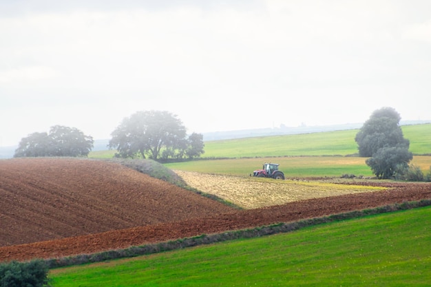 Ein Traktor, der an einem nebligen Wintermorgen ein Feld mit einem grünen Feld und Bäumen im Hintergrund pflügt.