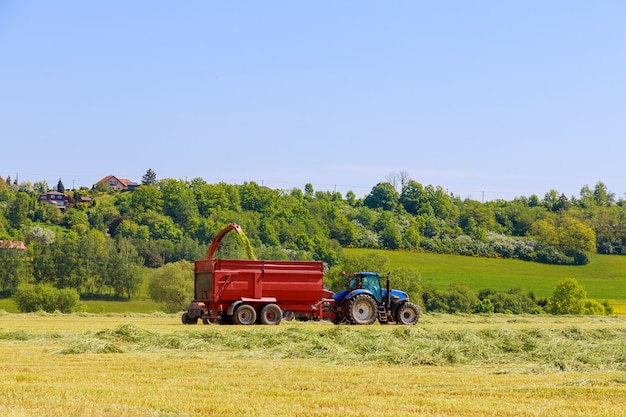 Ein traktor mit feldhäckslern entfernt an einem sonnigen tag geschnittenes gras zum silagebefüllen eines traktoranhängers vom feld.