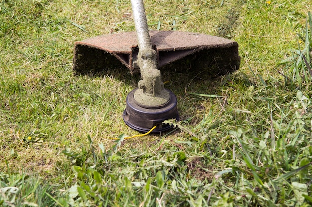 Ein Trimmer oder ein Benzinspieß, der gerade über das Gras gemäht wurde Sie können eine spezielle gelbe Linie sehen