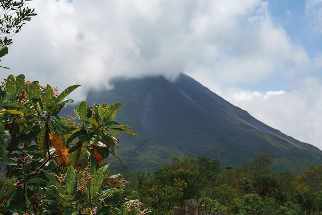 Ein üppiger Garten in La Fortuna, Costa Rica, mit dem Vulkan Arenal im Hintergrund