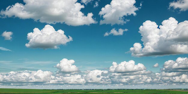 ein üppiges grünes Feld mit grünem Himmel