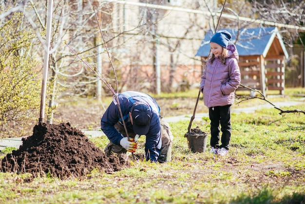 Foto ein vater und seine tochter pflanzen einen obstbaum