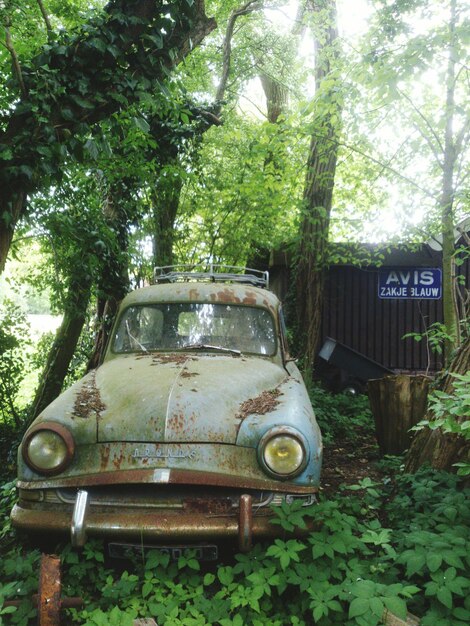 Foto ein verlassenes, rostiges vintage-auto im wald