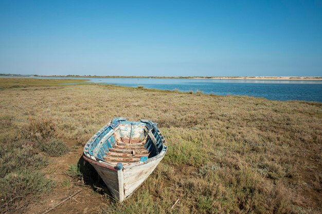 Foto ein verlassenes ruderboot an einem grasbewachsenen ufer vor einem klaren blauen himmel