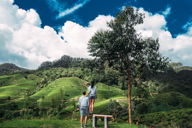 Foto ein verliebtes paar reist. verliebtes paar auf teeplantagen. reise nach sri lanka. junge und mädchen in den bergen. flitterwochen. grüntee-plantagen. paar auf einer bank mit blick auf die berge