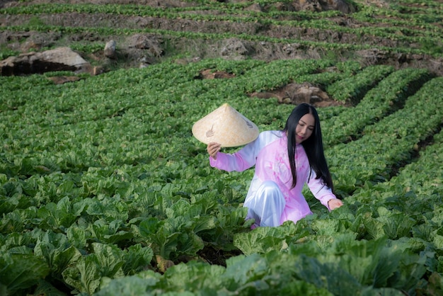 Ein Vietnamese verwaltet. Mit seinem Gemüse. (Landwirtschaft in Vietnam auf dem Berg)