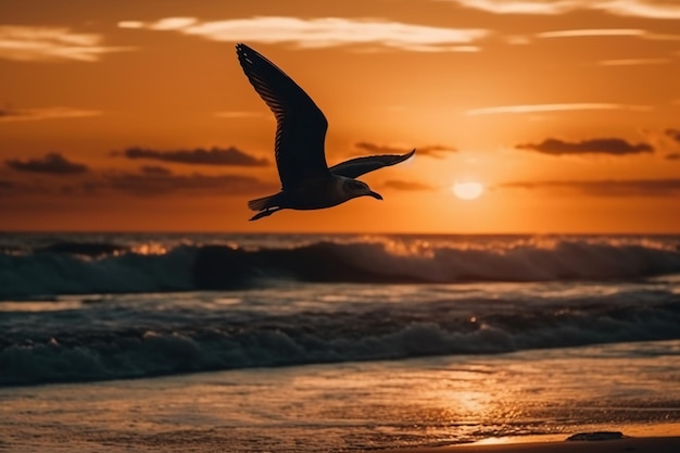 Ein Vogel, der bei Sonnenuntergang über dem Meer fliegt