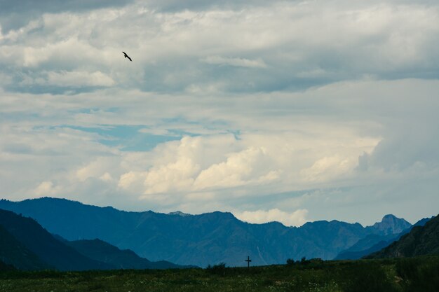 Ein Vogel, der im Himmel gegen einen Hintergrund der Turbulenzwolken ansteigt.