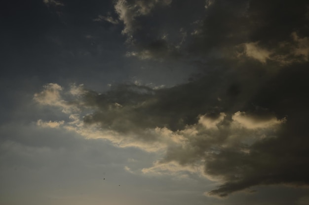 Ein Vogel, der in den Himmel fliegt