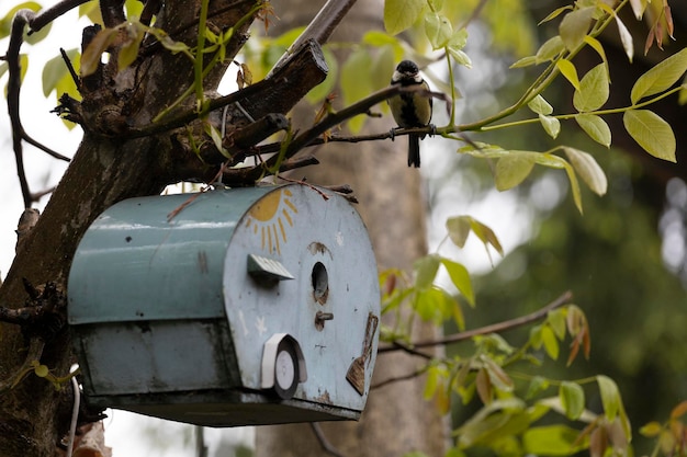 Ein Vogel sitzt auf einem Briefkasten in einem Baum.