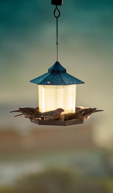 Ein Vogelhäuschen mit einem blauen Dach und einem weißen Licht darauf.