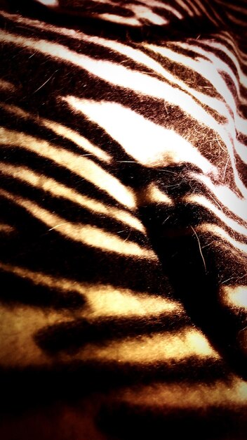 Foto ein vollbild von einer zebra-bettdecke