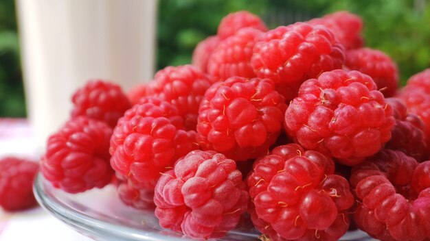 Ein voller Teller Himbeeren auf einer karierten Tischdecke