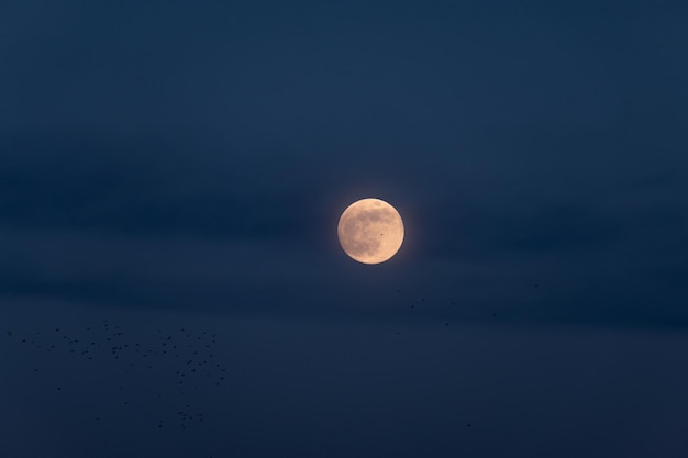 Ein Vollmond in der Nacht auf dunklem Hintergrund