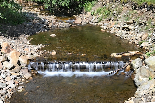 Ein Waldfluss mit einem kleinen Wasserfall an einem sonnigen Sommertag