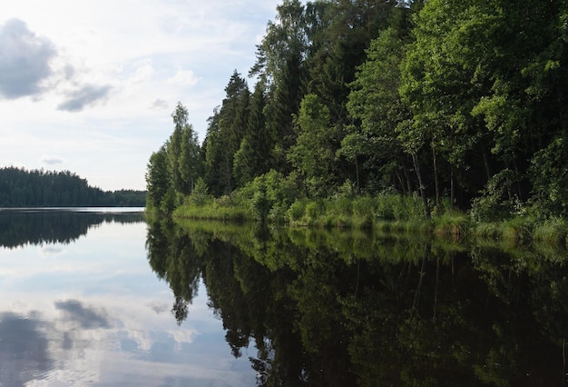 Ein Waldsee, umgeben von einem Wald mit Wasser, das Bäume und Wolken reflektiert