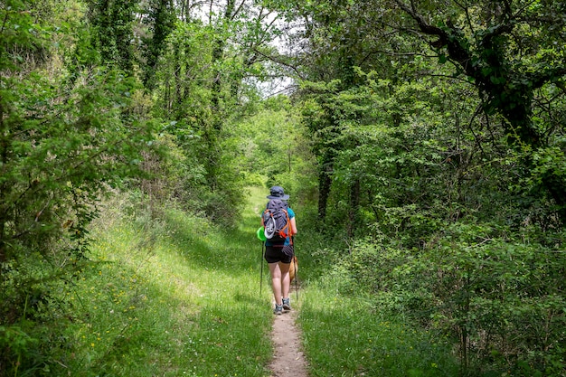 Ein Wandertag mit Hund in Collsacabra.