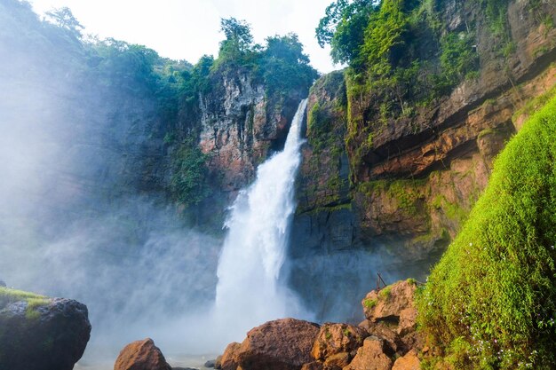 Ein Wasserfall im Dschungel mit grünem Hintergrund