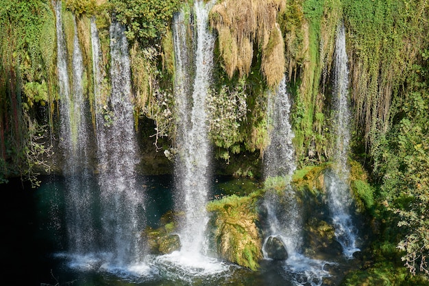 Ein Wasserfall im Dschungel