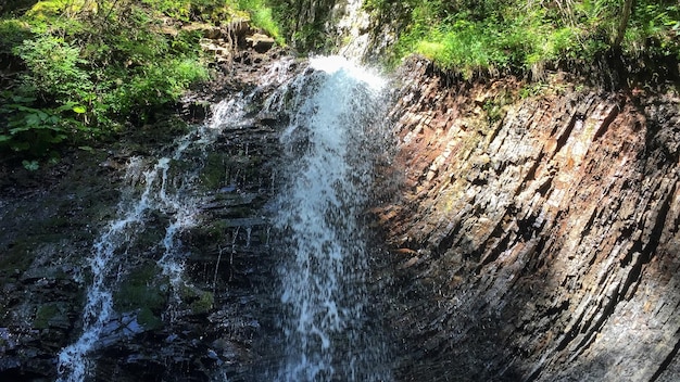 Ein Wasserfall im Wald mit einem grünen Baum im Hintergrund