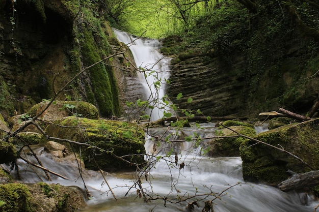 Ein Wasserfall im Wald mit grünem Hintergrund