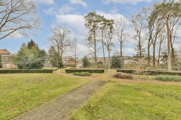 Ein Weg durch einen Park mit Häusern im Hintergrund