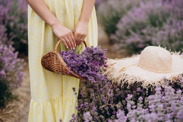 Ein Weidenkorb mit frisch geschnittenen Lavendelblüten und ein Hut in den Händen von Frauen in einem Kleid inmitten eines Feldes von Lavendelbüschen. Das Konzept von Spa, Aromatherapie, Kosmetologie. Weicher selektiver Fokus.