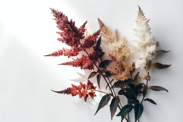 Ein weiß-rotes Blumenarrangement mit dem Wort „wild“ darauf.
