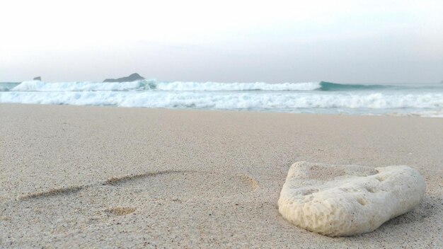 Foto ein weißer seestern liegt abends im sand am strand.