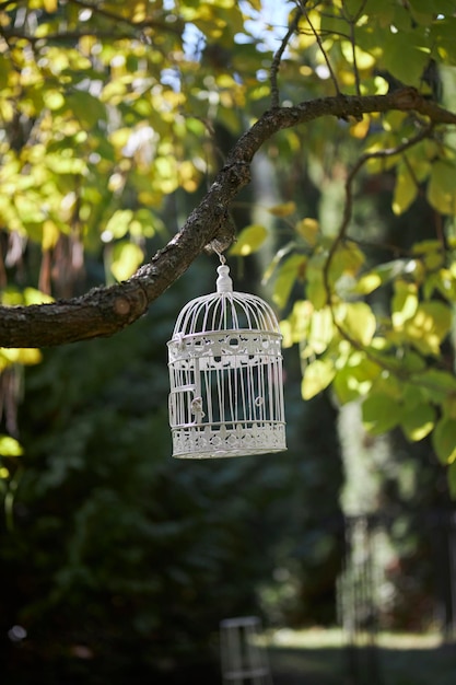 Ein weißer Vogelkäfig besucht das Dorf im Garten Schöner Käfig im Garten mit Vögeln