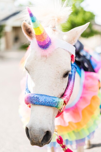 Ein weißes Pony, das auf der Geburtstagsfeier des kleinen Mädchens als Einhorn dekoriert wurde.