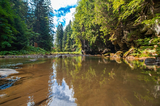 Ein winziger Fluss im Bergwald mit niedrigem Wasserfall