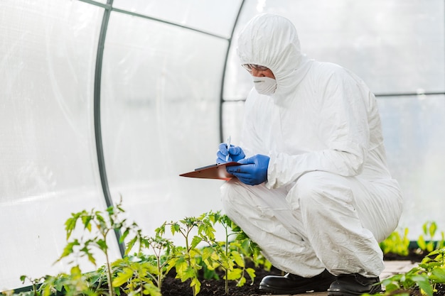 Ein Wissenschaftler oder Mikrobiologe fügt dem Boden Dünger hinzu Das Konzept der Biotechnologie und GVO