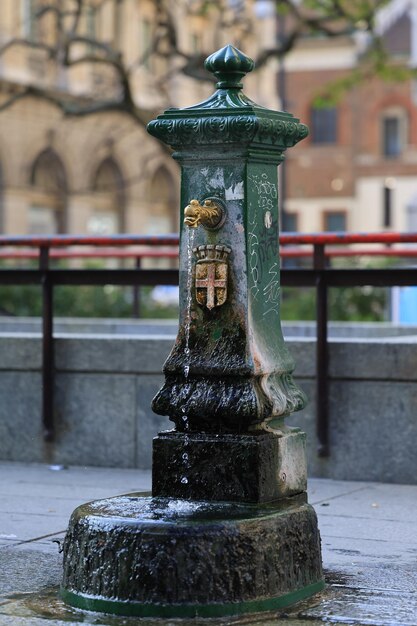 Ein wunderschön charmanter Vintage-Brunnen, der sein kunstvolles Design zusammen mit üppigem Grün in einem