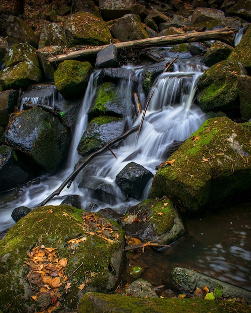 Ein wunderschöner Gebirgsbach, der zwischen großen, mit Moos bedeckten Felsbrocken im Taiga-Wald fließt