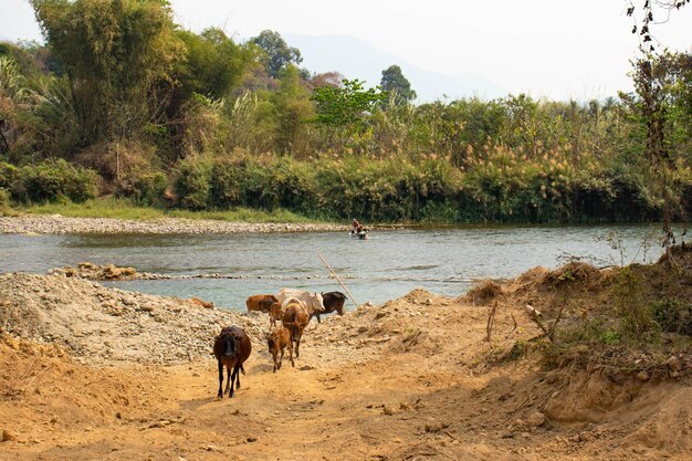 Ein wunderschöner Panoramablick auf Vang Vieng in Laos