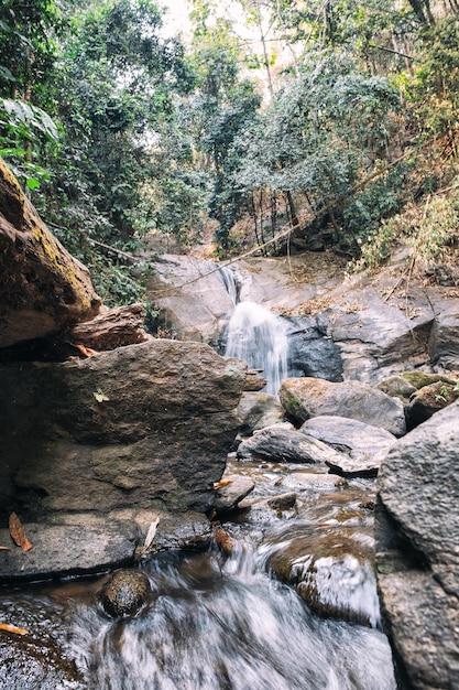 Ein wunderschöner Wasserfall im tropischen Dschungel