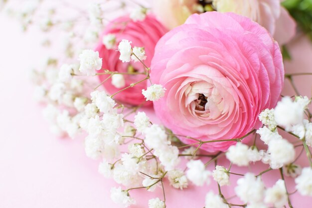 Ein wunderschönes Bouquet aus rosa Ranunkeln (Butterblumen) mit zarten weißen Gypsophila-Blüten auf einer rosa Oberfläche