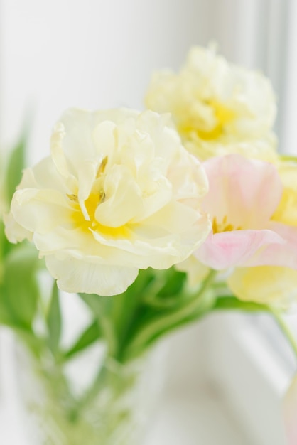 Ein zarter Strauß Tulpen am Fenster Die Ankunft des Frühlings 8. März Ostern Muttertag