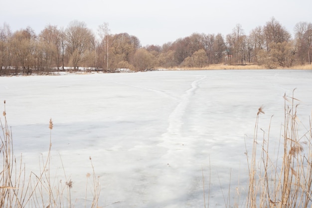 Ein zugefrorener See im Frühjahr getrocknetes Gras am Ufer ist sichtbar