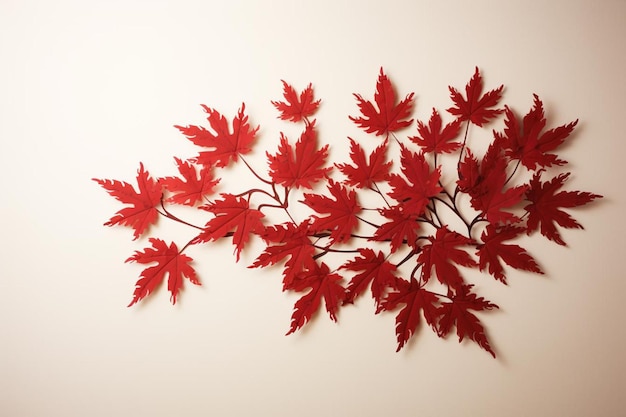 ein Zweig roter Ahornblätter mit weißem Hintergrund.