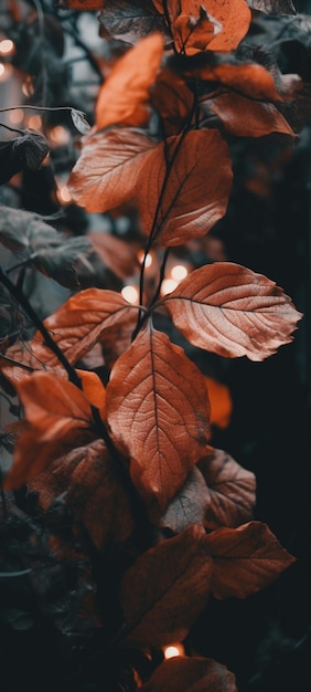 Ein Zweig roter Blätter mit dem Wort Fall darauf